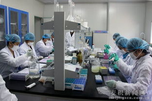 天水市舉辦縣級獸醫實驗室檢測技術培訓班，提升技術服務能力